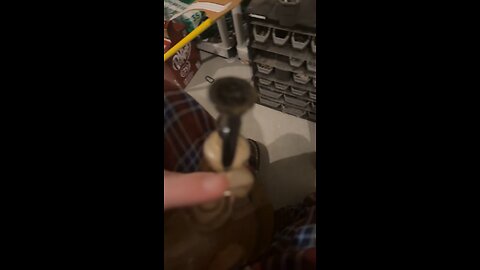 Day 45 pt3 Smokin weed by the crop