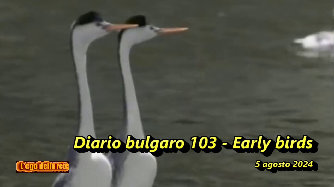 Diario bulgaro 103 - Early birds - 5 agosto 2024