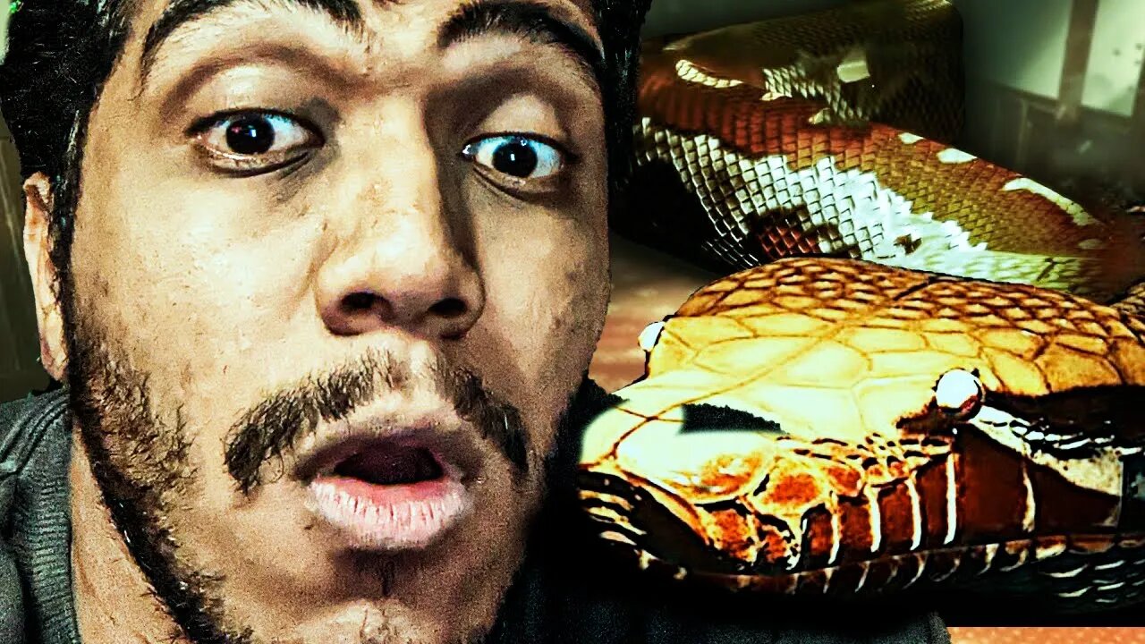 ANACONDA NO HOTEL - NO SNAKE HOTEL