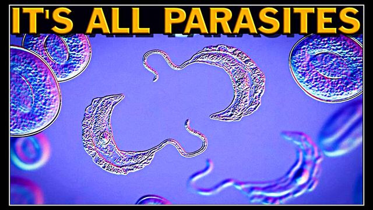 It's All Parasites: Cancer Vaxxine Remedies Dr. Lee Merritt