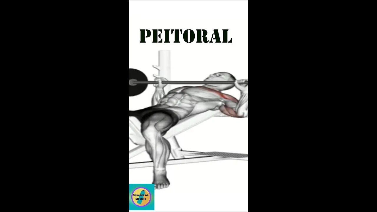 PEITORAL - Tenha o seu treino perfeito. #shorts