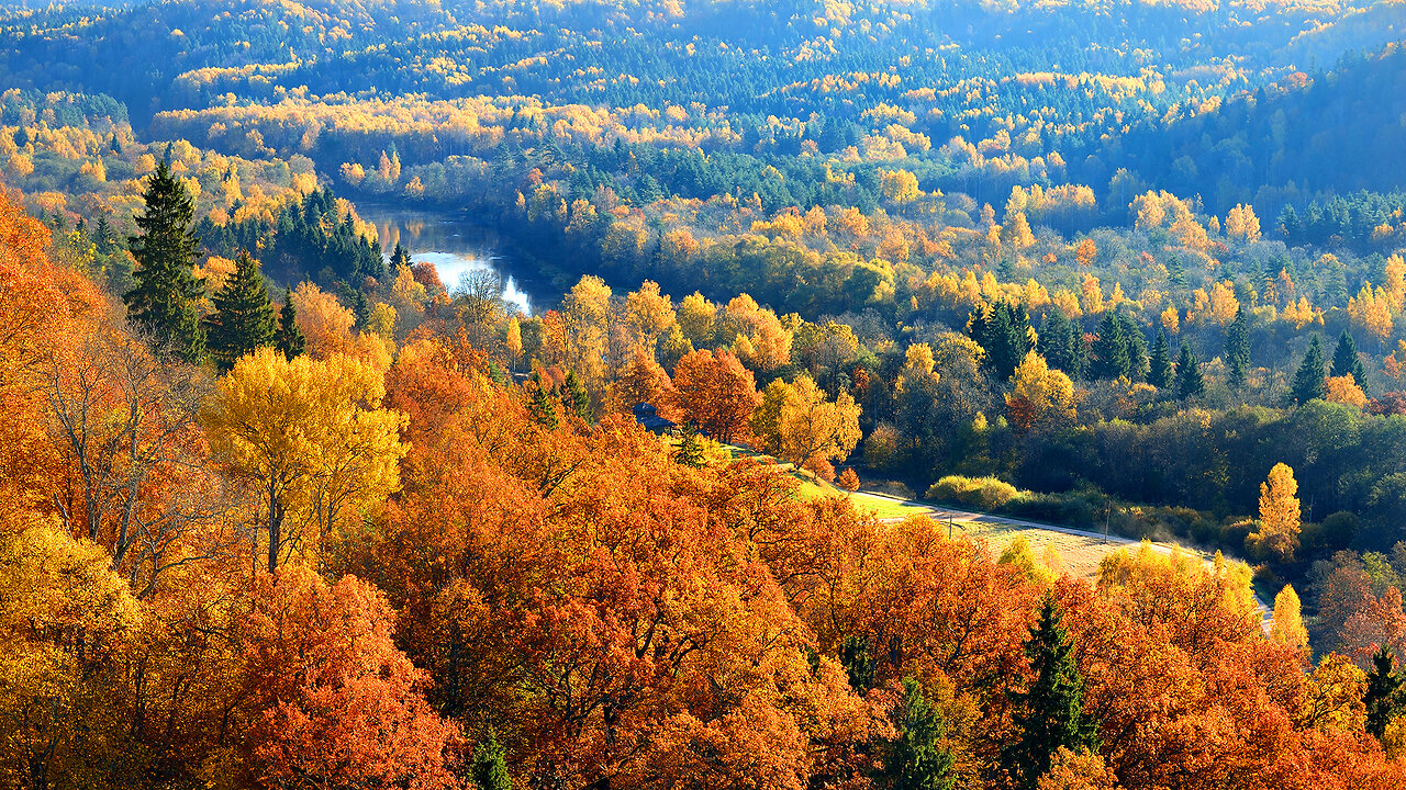 Beautiful Meditation Music