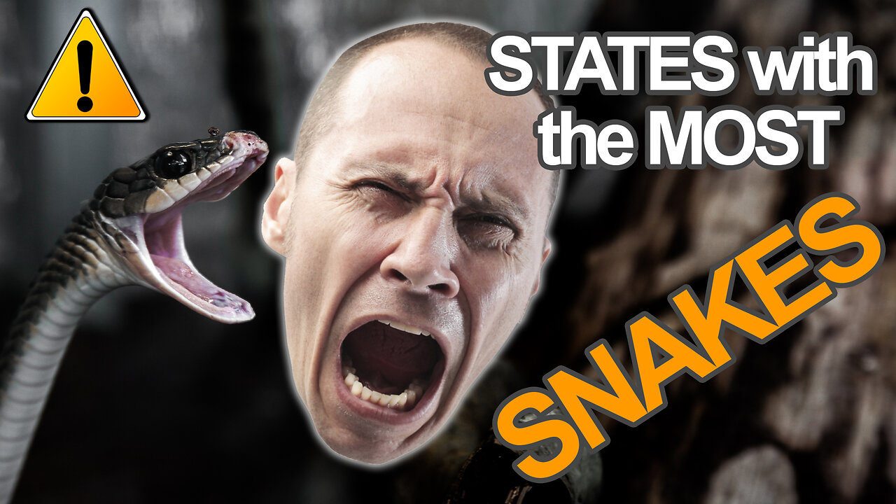 Snake Nation: Discovering the Top 10 States with the Most Venomous Snakes