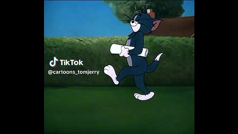 Tom & Jerry 1