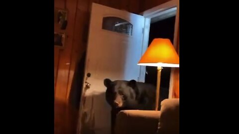 Black Bear Steals Woman's Vacuum Cleaner