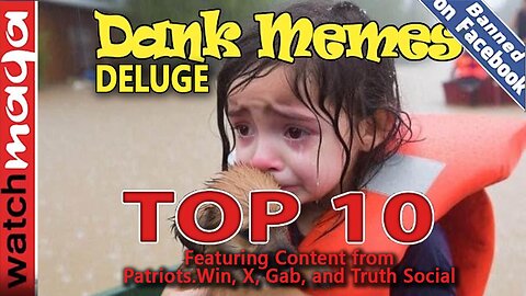 “Deluge: TOP 10 MEMES” - (Warning: Strong Language)