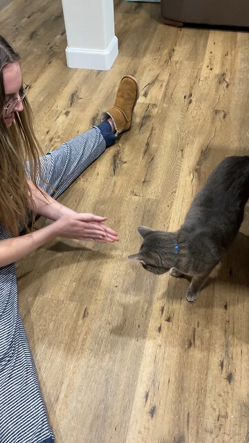 Playing with Mr. Leo