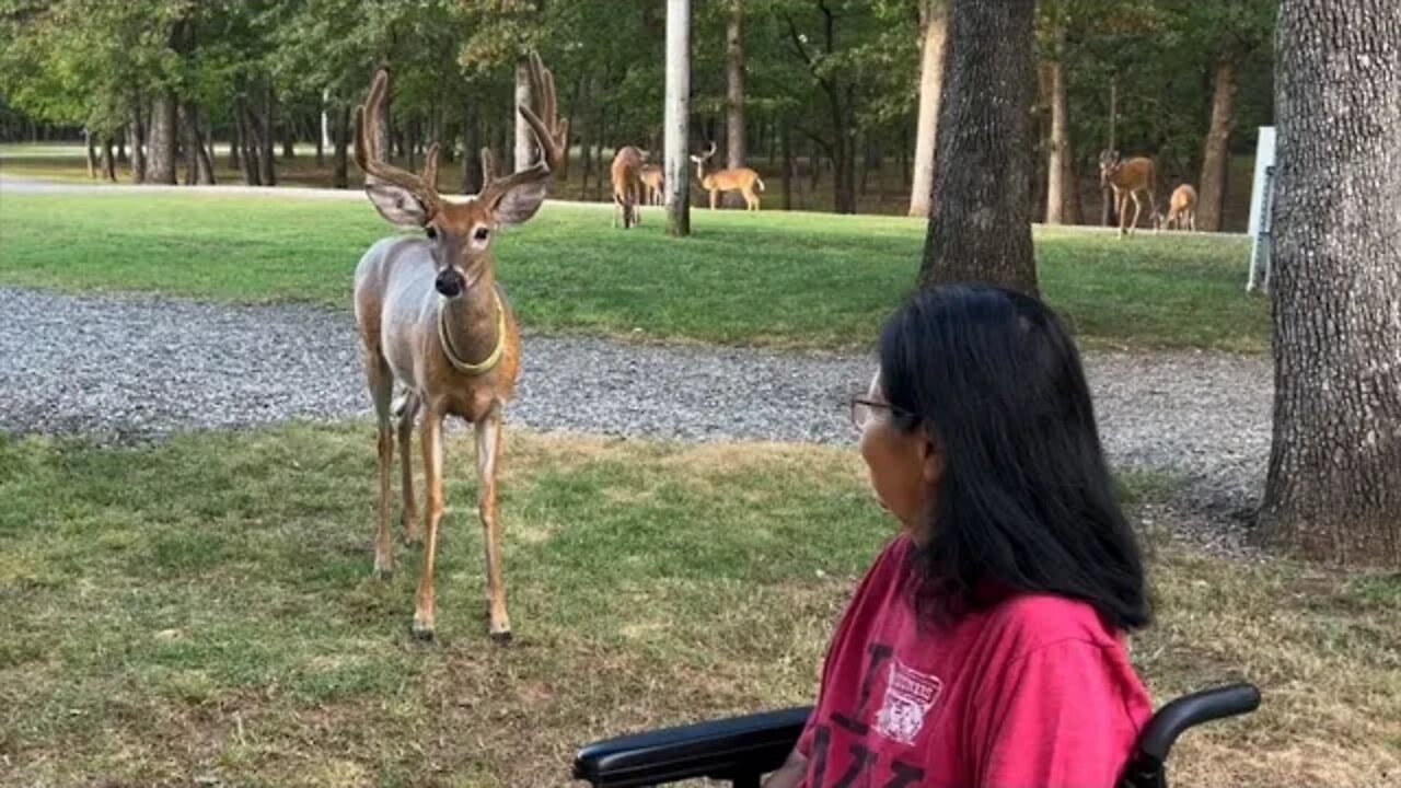 Begging for Attention! House Bucks on the Ranch