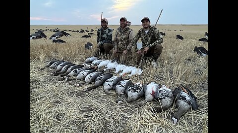Speck Hunt with Bonus Snows