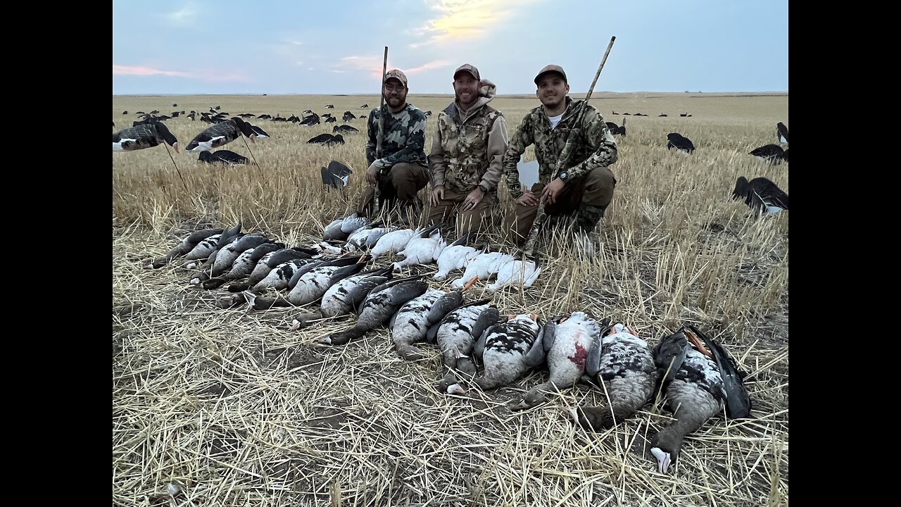 Speck Hunt with Bonus Snows