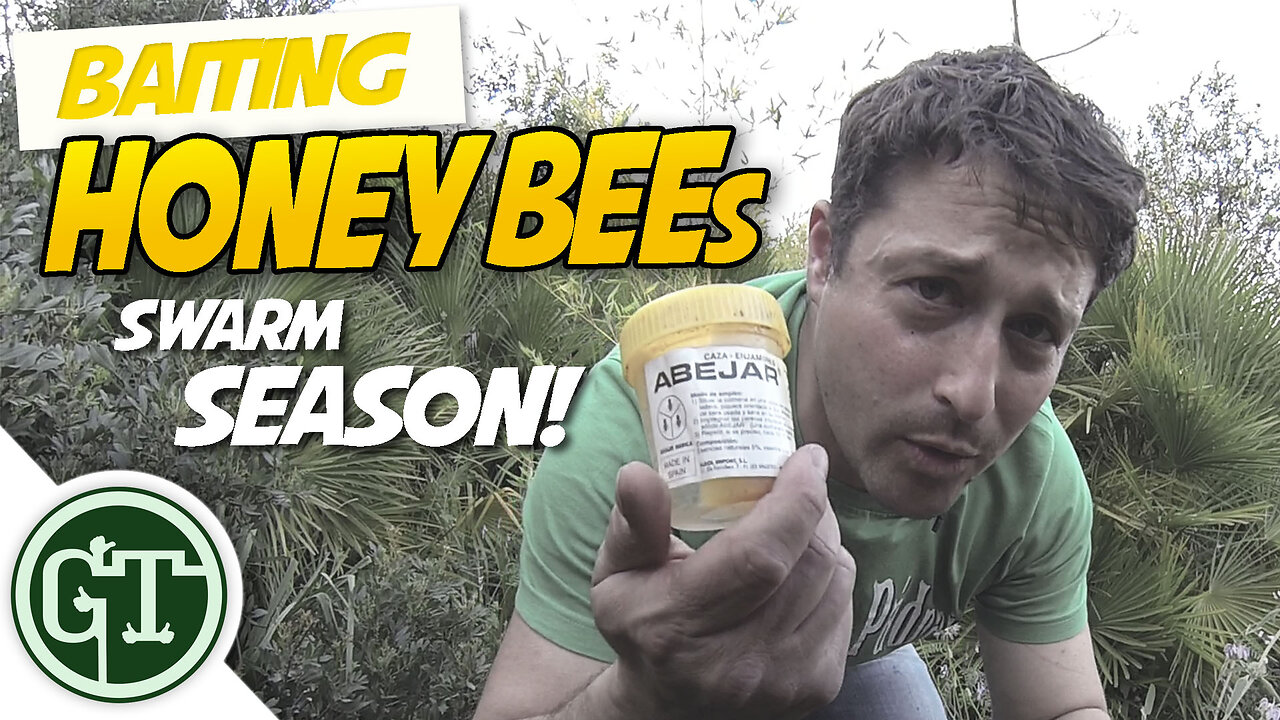 Baiting Honey Bees - Cleaning The Hive | Swarm Season 2018