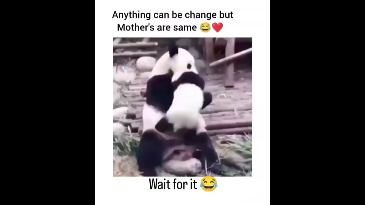 Anything can be changed…but mothers…