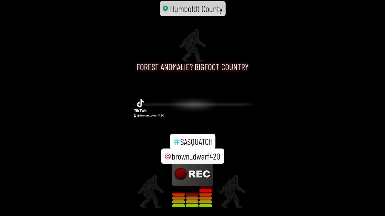 Forest Anomaly? Bigfoot Country