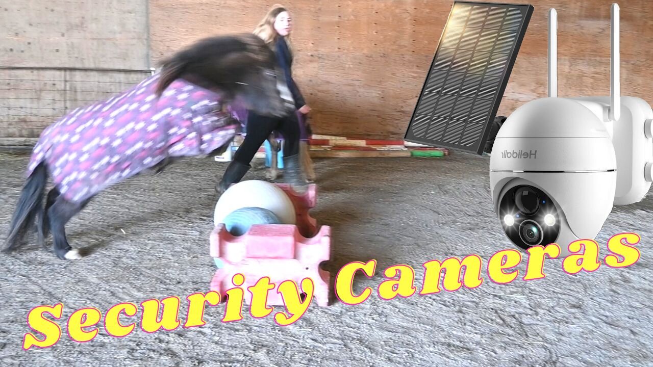 Our Pony Can Jump Anything!