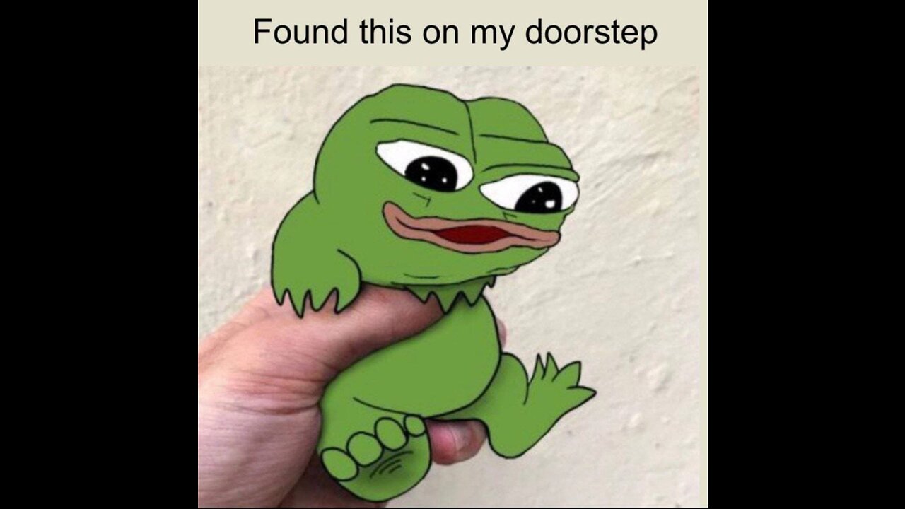 Pepe Lives Matter