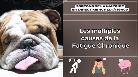 SORTONS DE LA MATRICE: LES MULTIPLES CAUSES DE LA FATIGUE CHRONIQUE