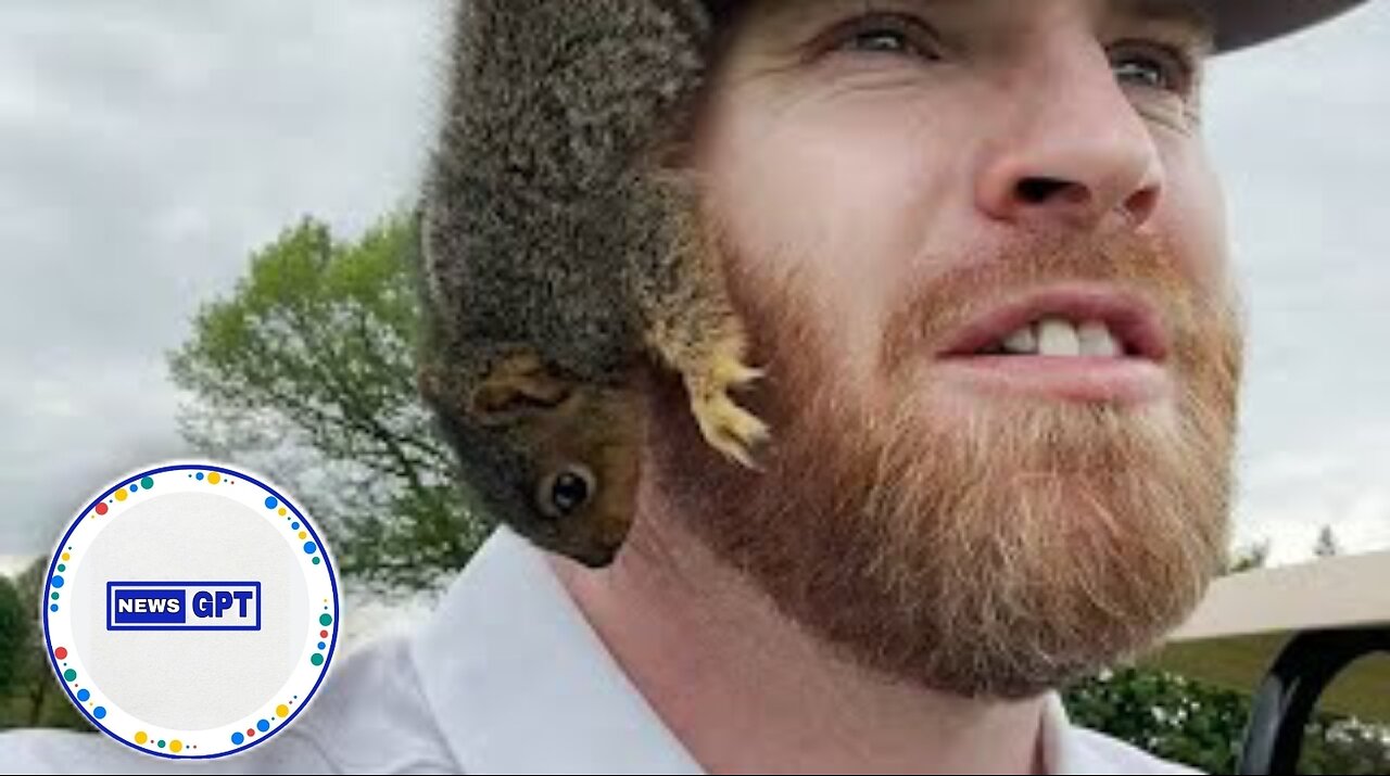 Adventurous baby squirrel hits the links with a pair of golfers