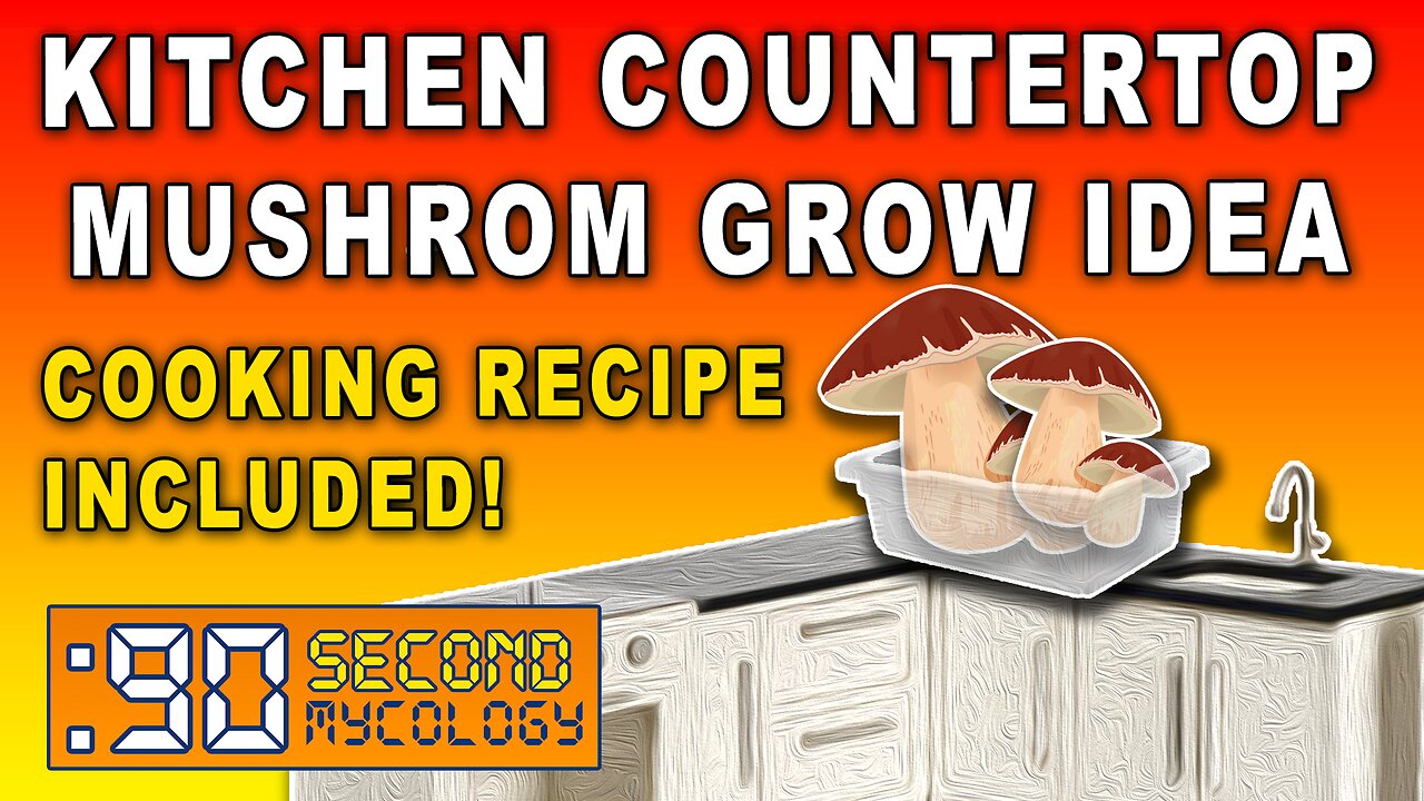 Kitchen Countertop Mushroom Grow Idea \\ Cooking Recipe Included! \\ 90-Second Rice