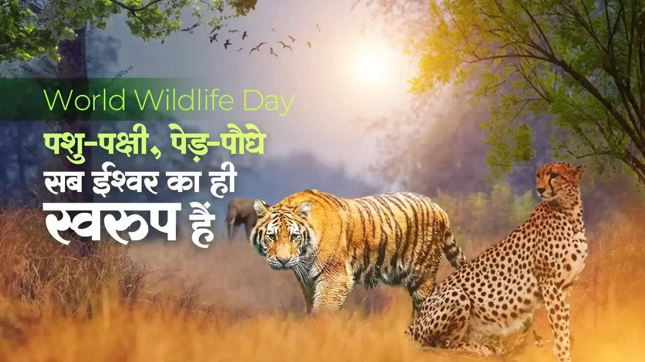 Indian wild Ensuring Protection of our forest and safe Habitate for animals.