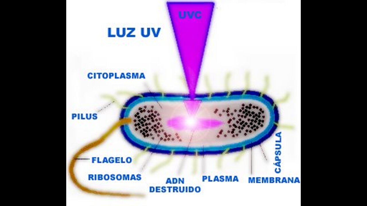 EL GRANO DEL SISTEMA 588: LUCES ULTRAVIOLETAS Y EL ADN