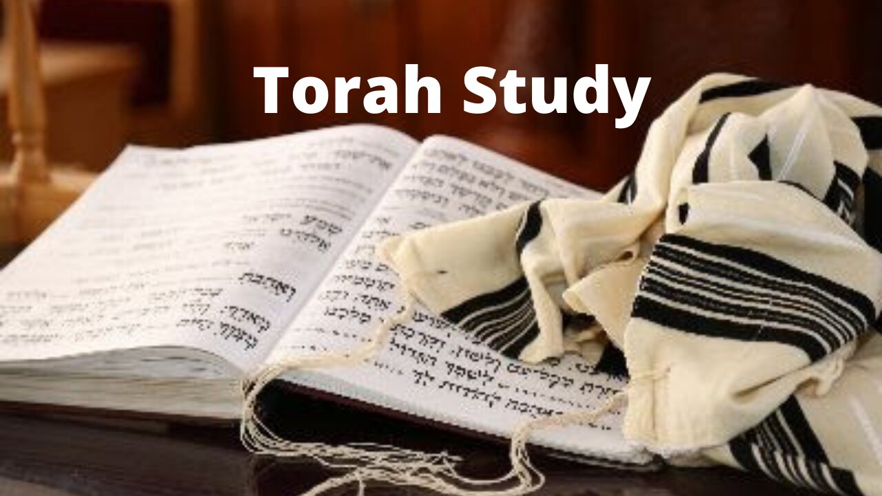 Torah Study with Rabbi Saul Sender