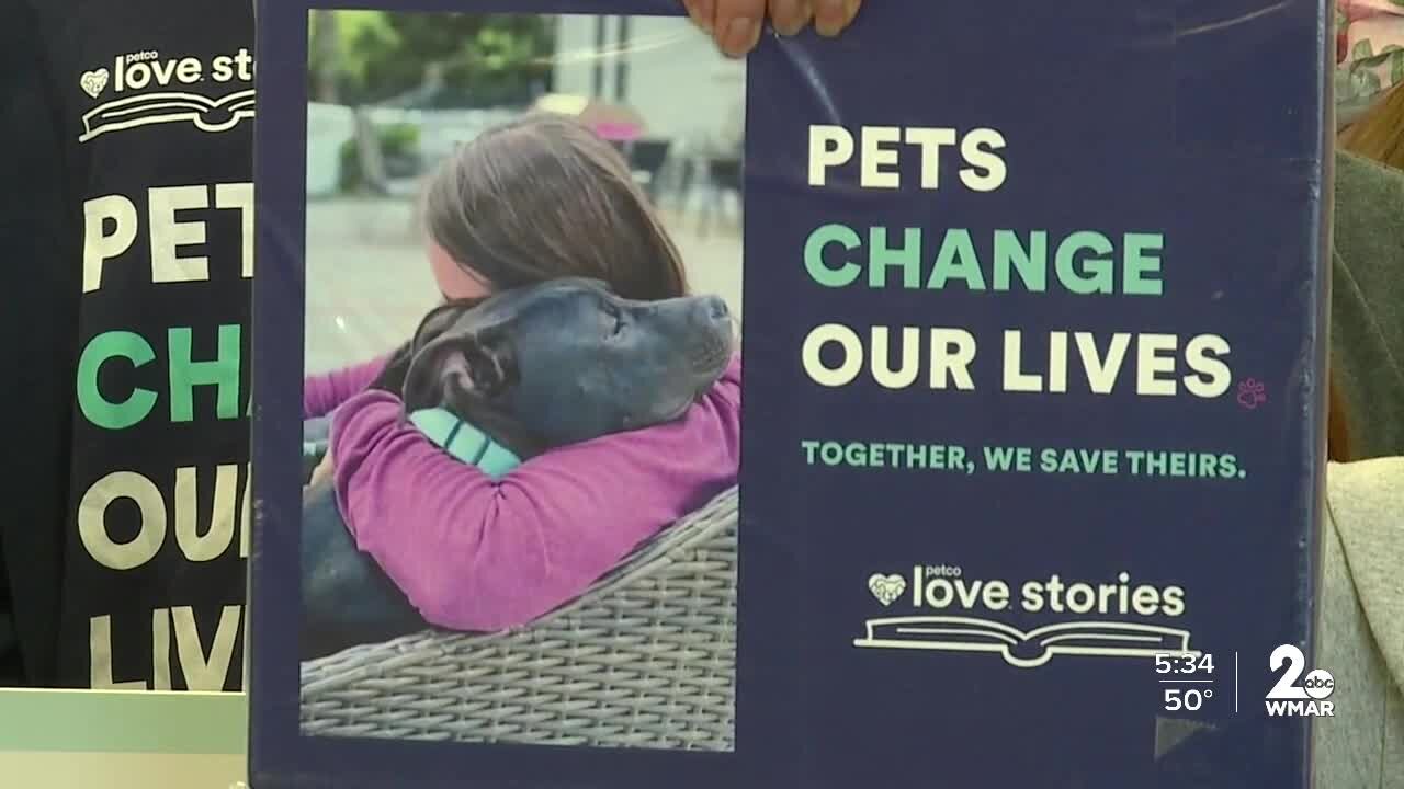 Pitties & Purrs presented $10K grant
