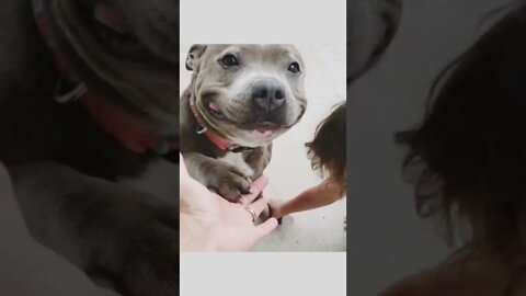 Such a sweet smile...🐕🐾☺️