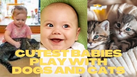 Cutest Babies love to Play with their pets | Funny cute pets lovers