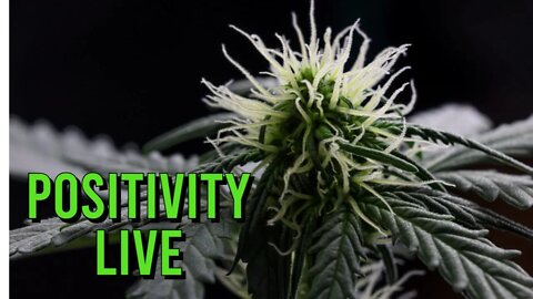 The BUDZ Try DABS For The First Time on Positivity LIVE