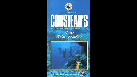 WHAT MADE JACQUES COUSTEAU QUIT DIVING?