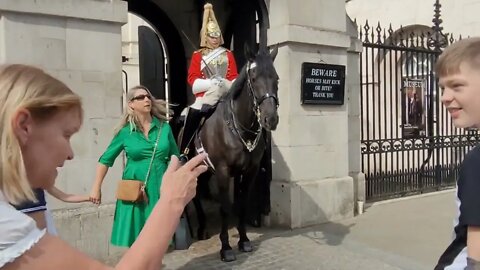 Horse tries to bite tourist #horseguardsparade