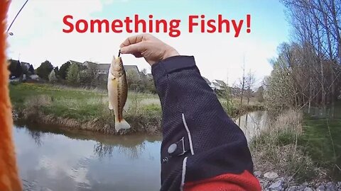 Creek Fishing adventure from a scooter / small motorcycle with micro lures