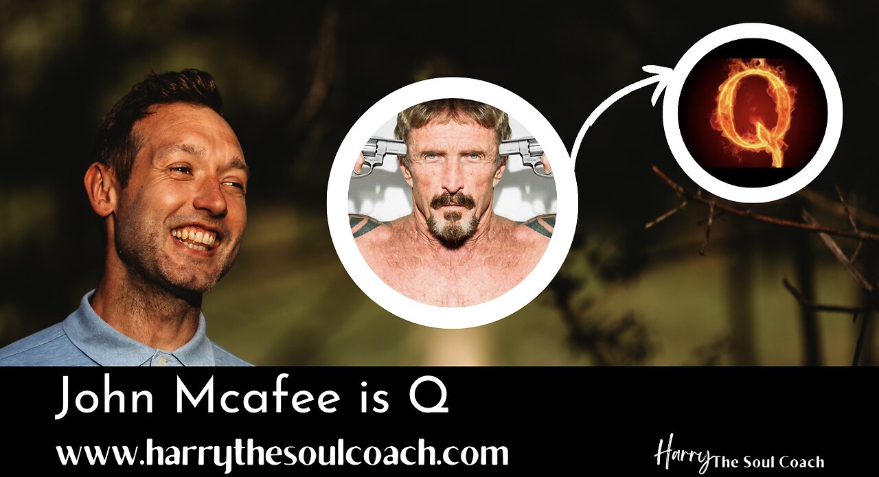 THE MOMENT JOHN MCAFEE INTRODUCED Q TO THE ANONS