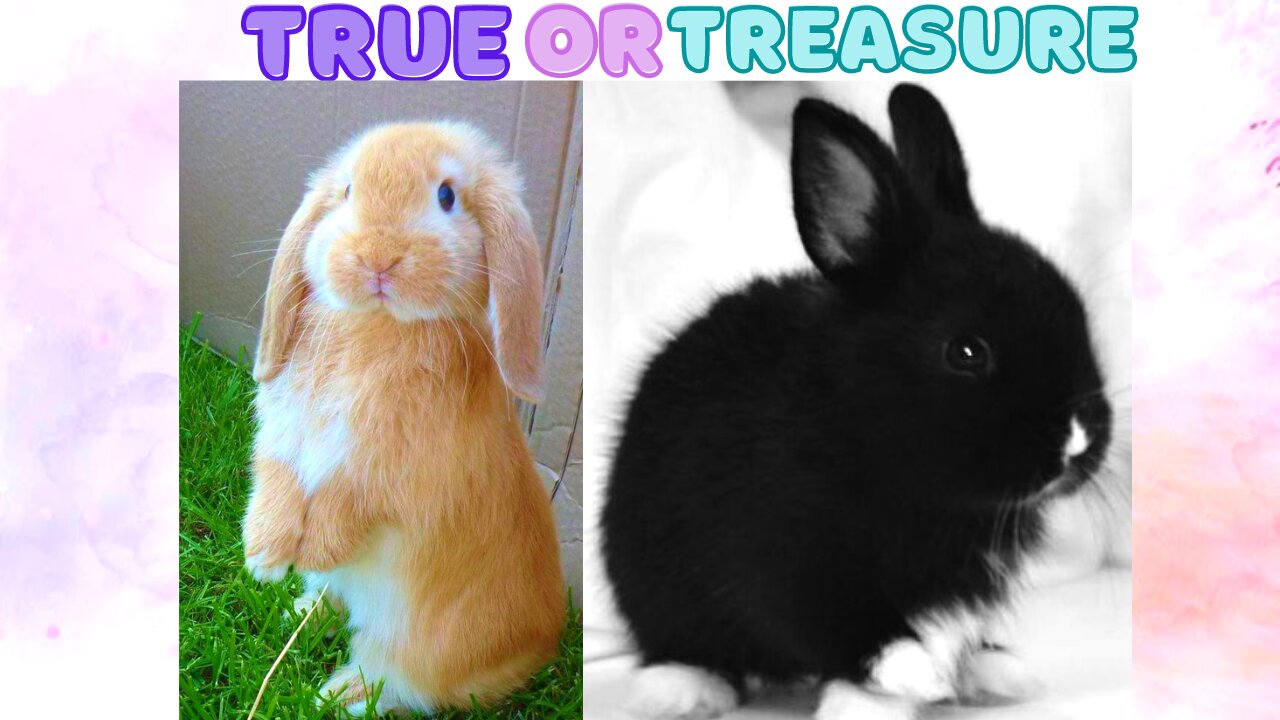 TRUE OR TREASURE (ANIMALS TOO MAKE YOU HAPPY!) 😊 #6