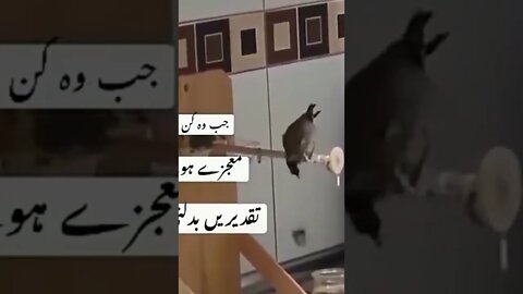 اللہ اکبر