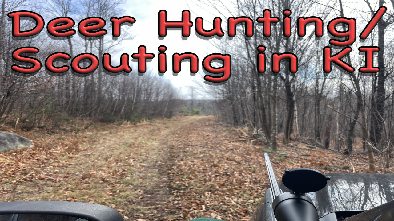 Deer Hunting/Scouting in KI