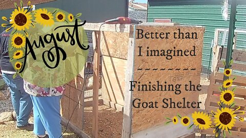 Better Than I Thought ~ Finishing the Goat Shelter