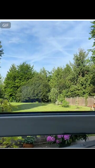 Chemtrails - speedcam recording showing what they look like in the sky