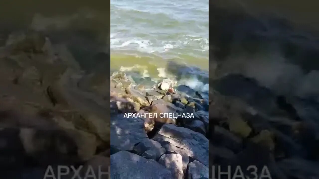 π·πΊπΊπ¦ Dead Ukrainian Soldiers In Kakhovka Reservoir After Failed Counterattack