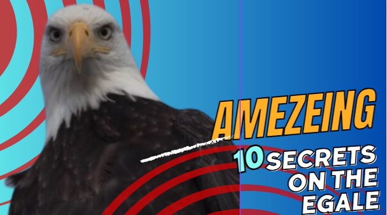 Sure! Here are 10 facts about eagles