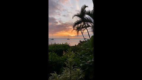 Maui Sunset