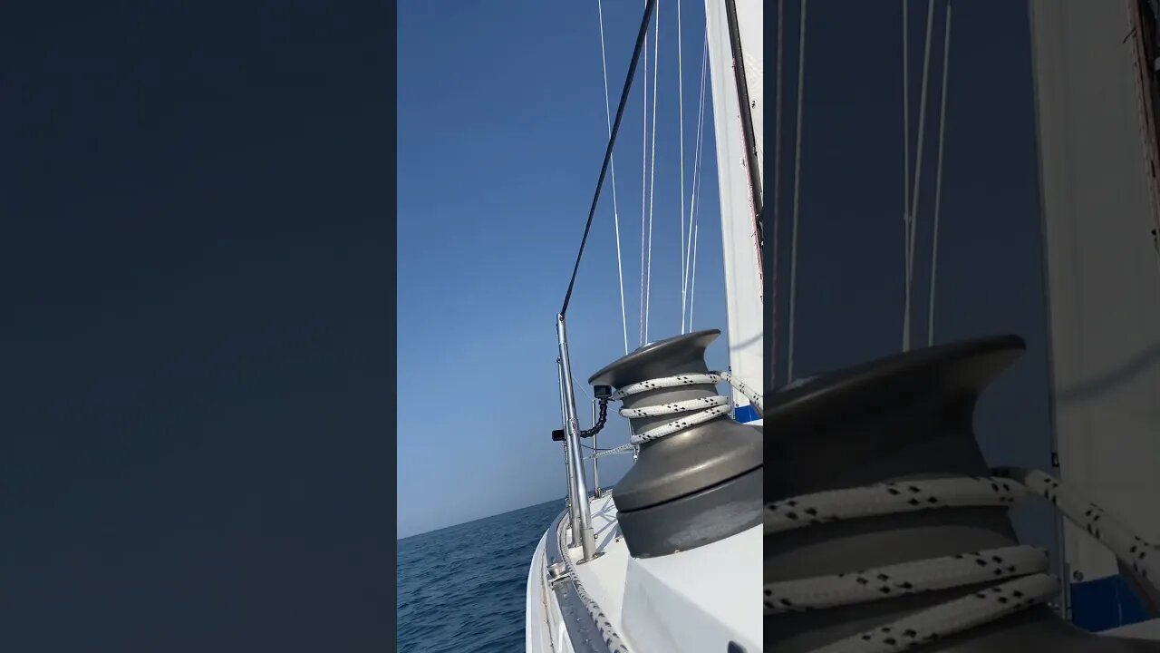 Go sailing!