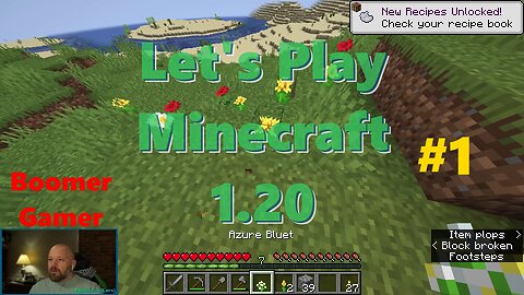 Minecraft Let's Play #01