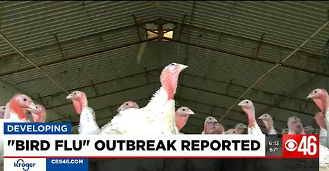 USDA: Nearly 23 million birds killed to prevent avian influenza spread