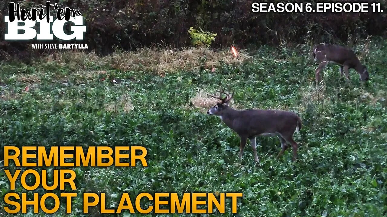 Remember Your Shot Placement While Deer Hunting