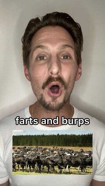 NZ Prime Minister Pushes For “Farts & Burps” Tax