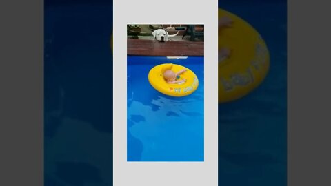 Lifeguard on duty…😜👶🏼🦮🛟