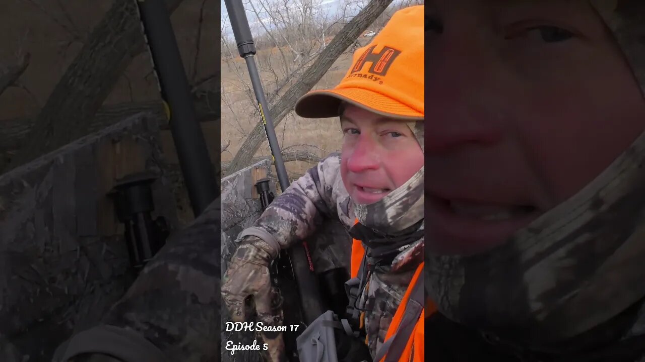 When it happens, it happens fast. #Shorts #hunting #shortsvideo #deerhunting