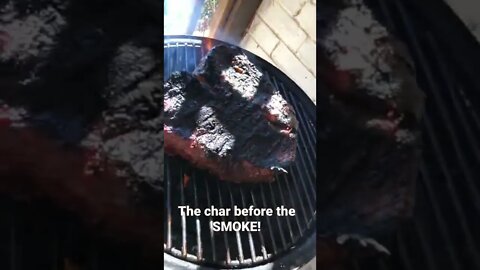 TEXAS BBQ, The Char Before The SMOKE! 🥩😋❤️ #shorts