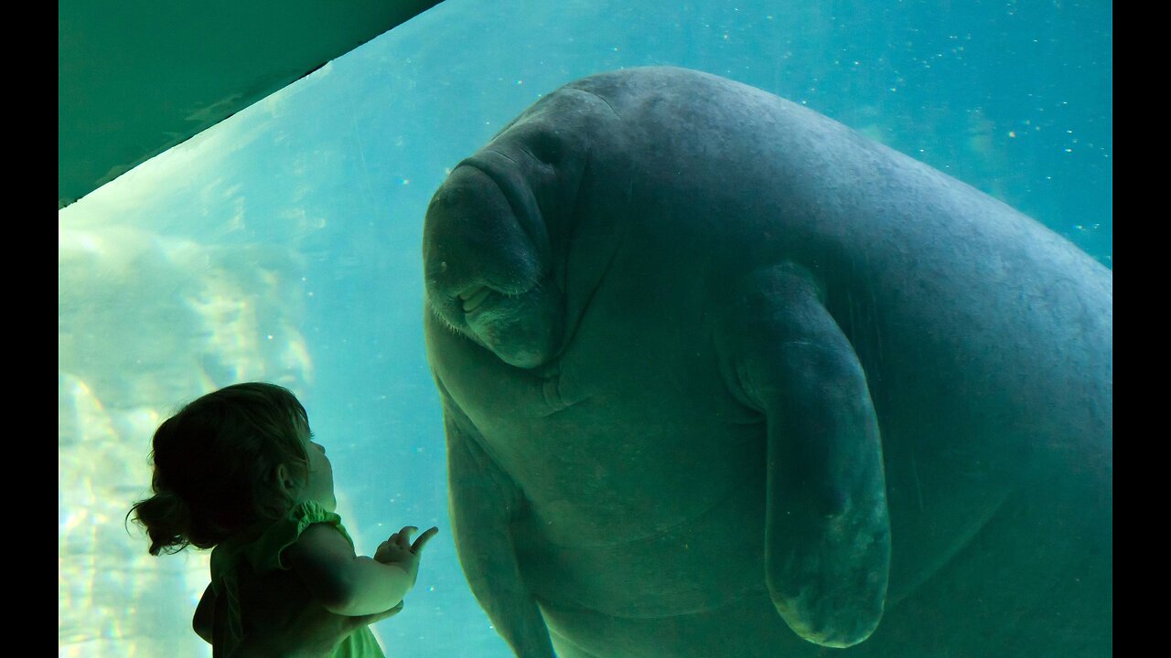 Complete Creation, 2nd Ed., Part 10 with Wazooloo